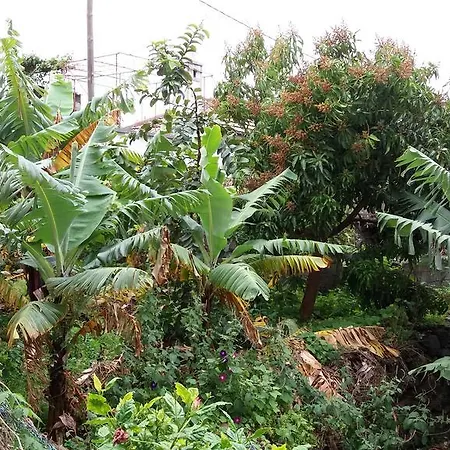 Banana House Semesterbostad Ponta do Sol (Madeira)